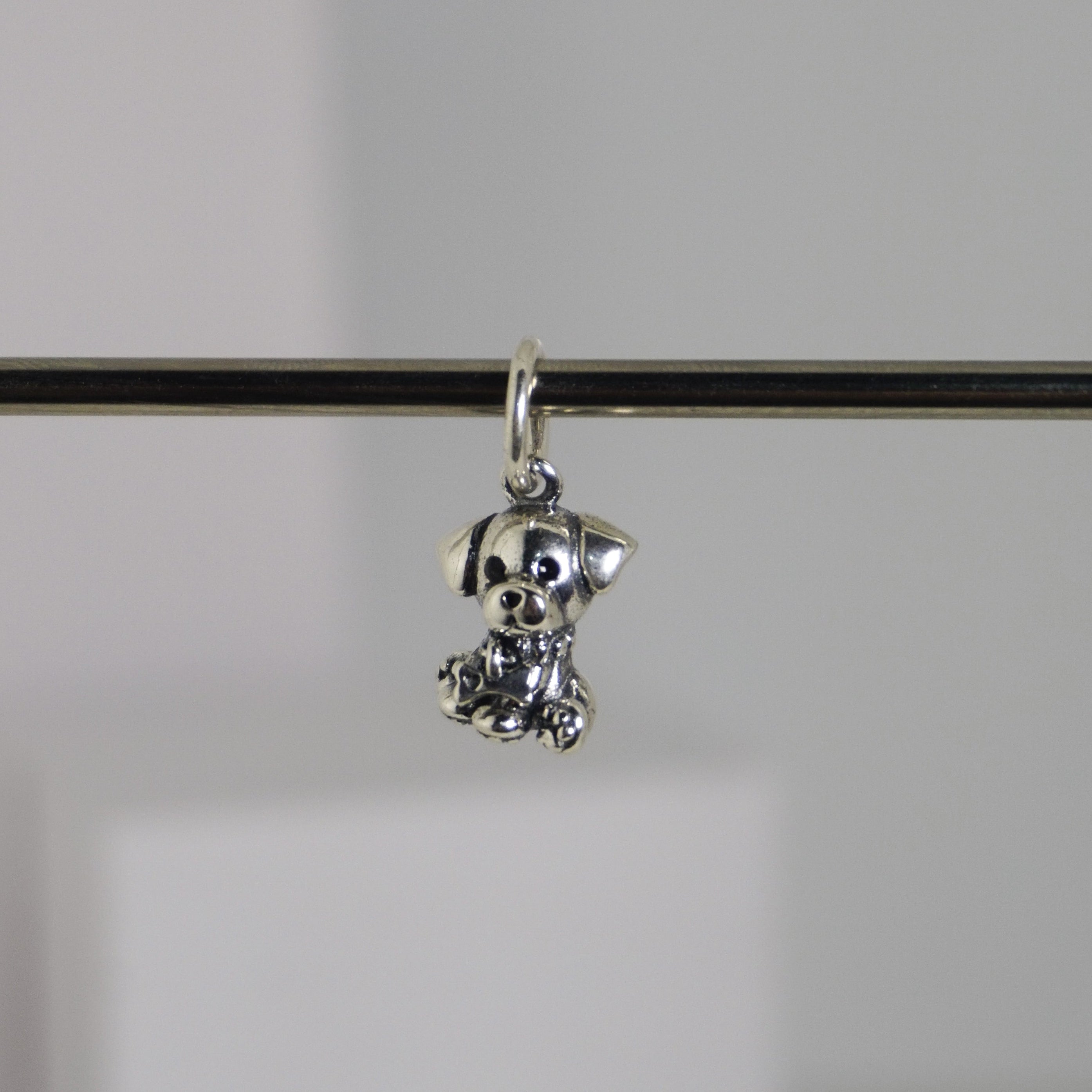 Charm Perrito