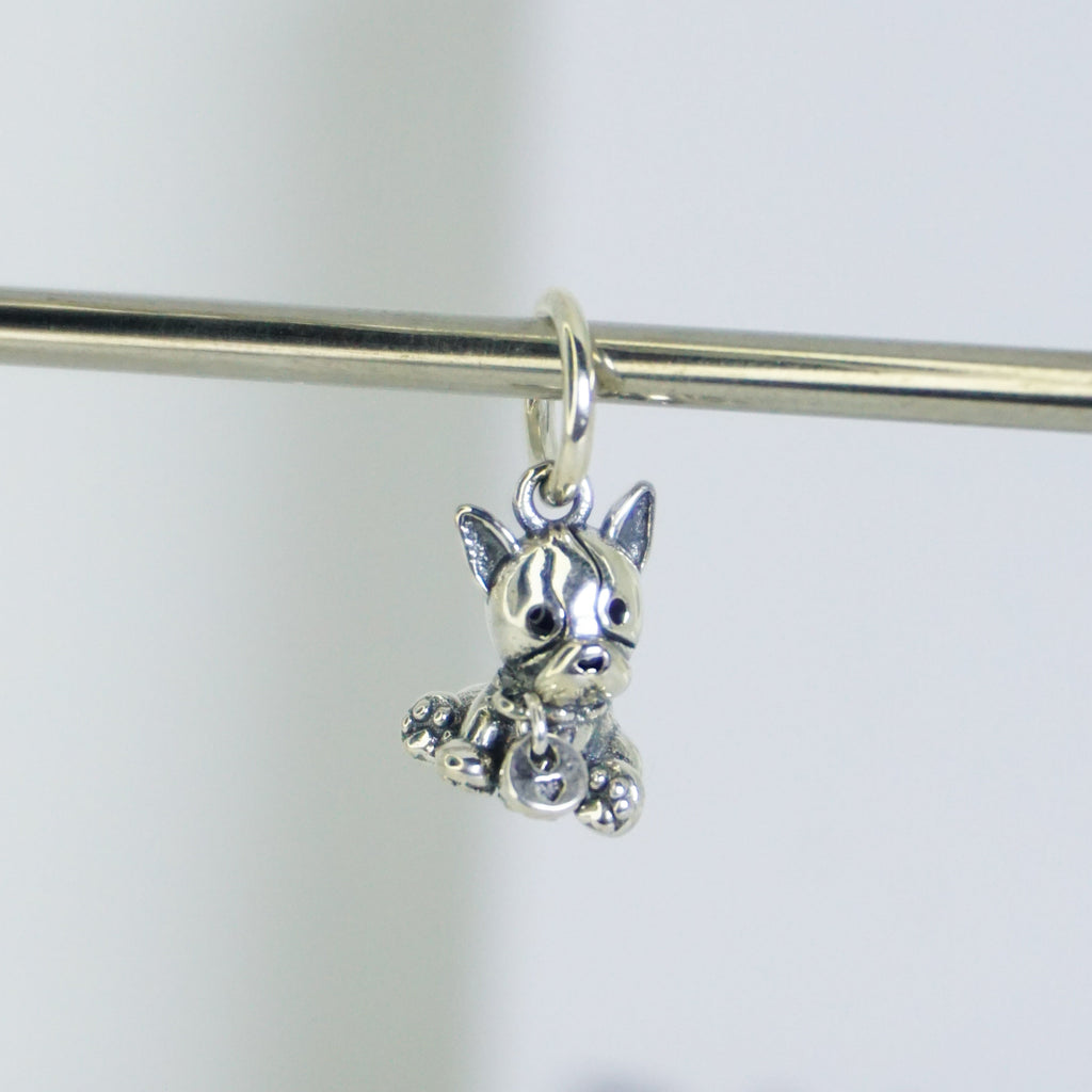 Charm Perrito