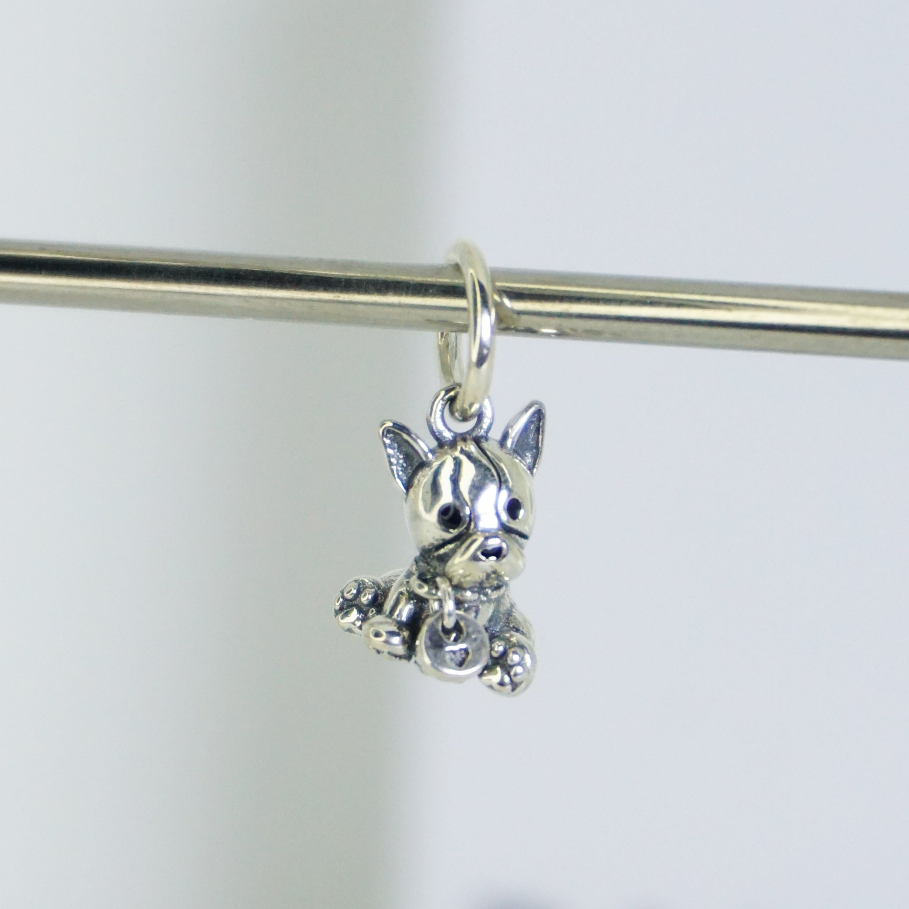 Charm Perrito