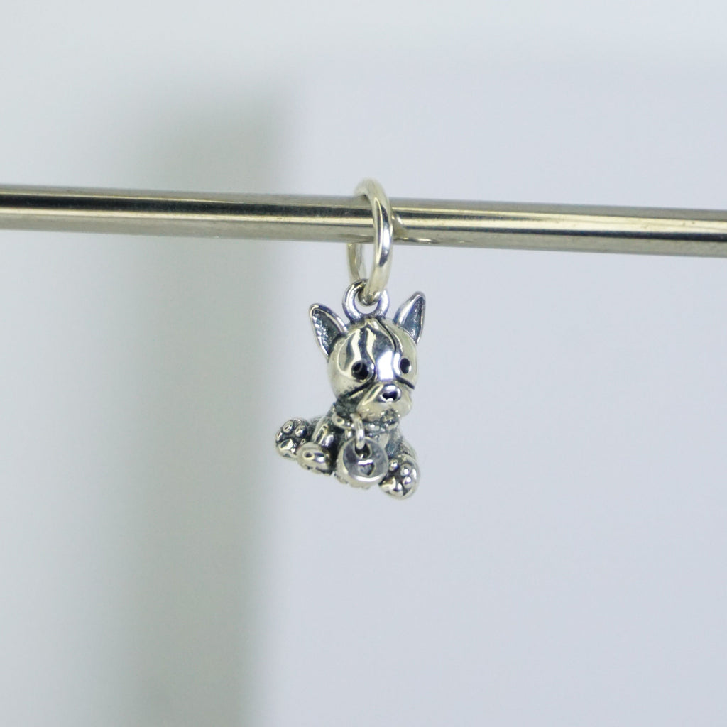 Charm Perrito