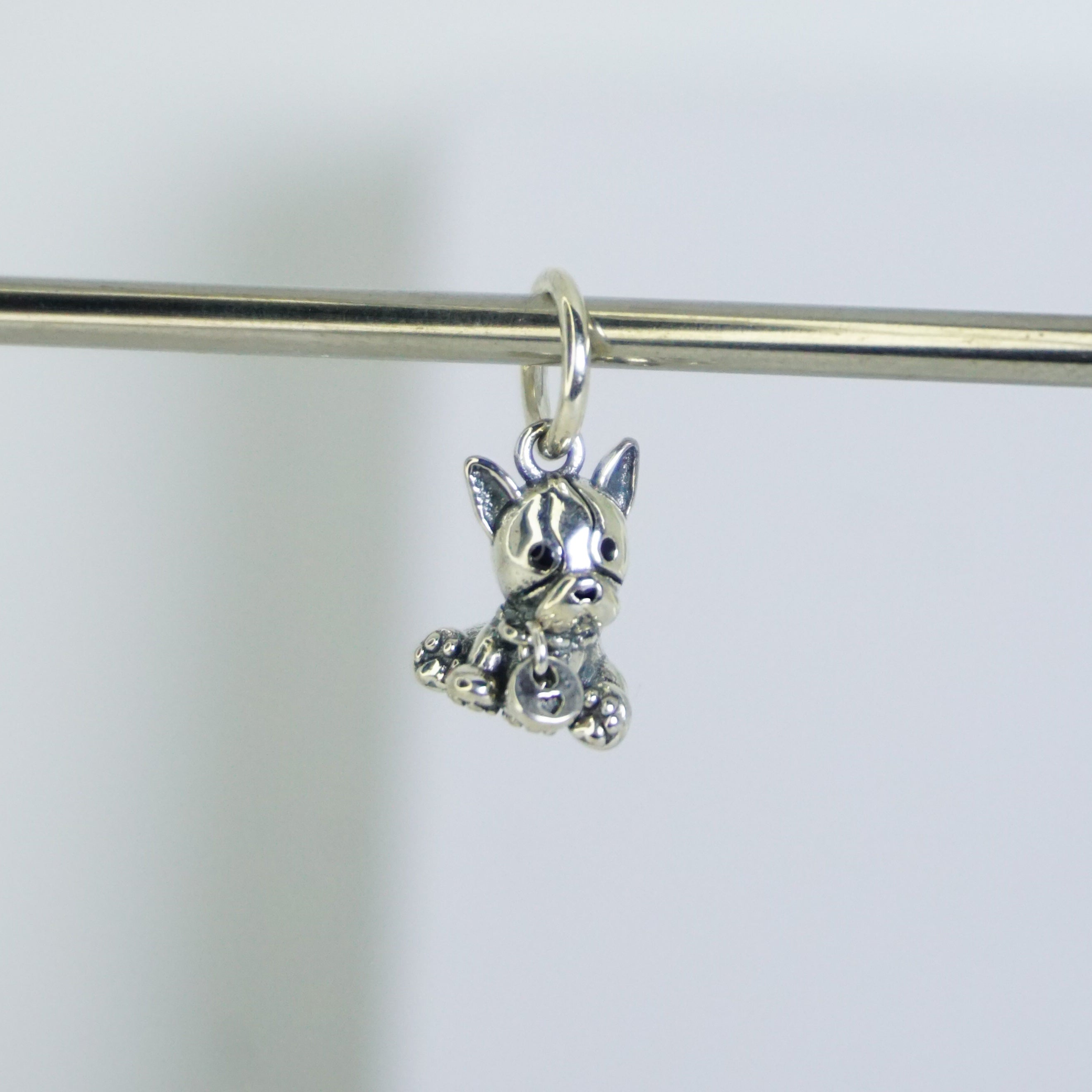 Charm Perrito
