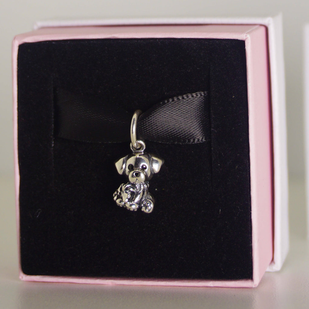 Charm Perrito