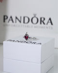 Anillo Corazón Encantado